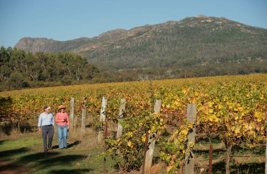 Explore The World’s 50 Best Vineyards