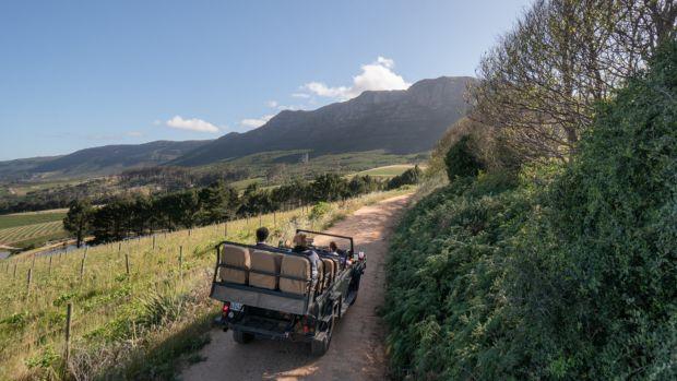 Klein Constantia Wine Estate