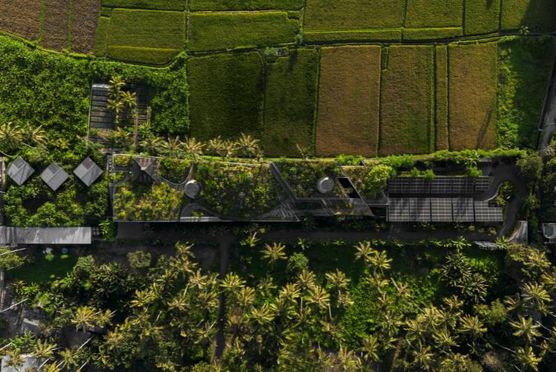 a50br - locavore - SRA 6