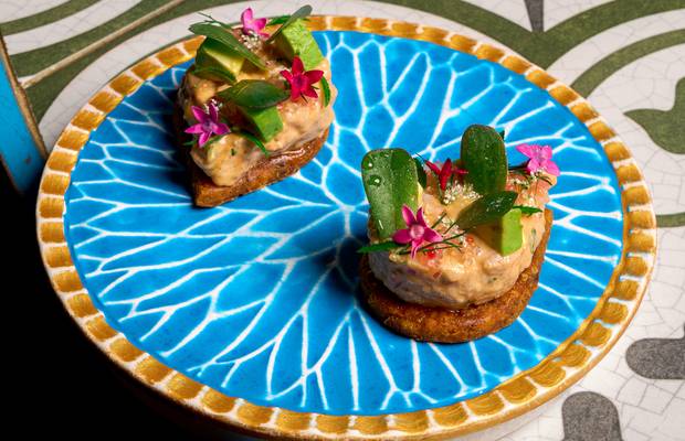 Ms. Maria & Mr. Singh