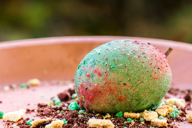 Alto-LATAM-2016-DISH1-1