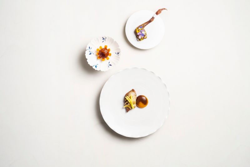 Born Pigeon_Yolk_Mushroom_A50BR25-51-100