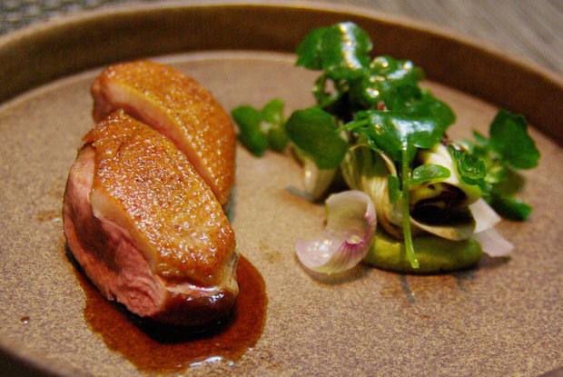 Chila-LATAM-2016-DISH2