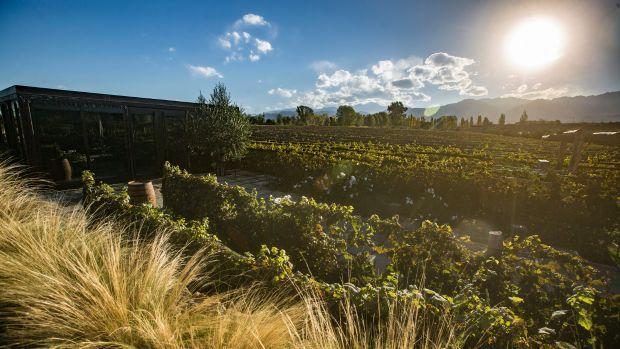 Durigutti Family Winemakers