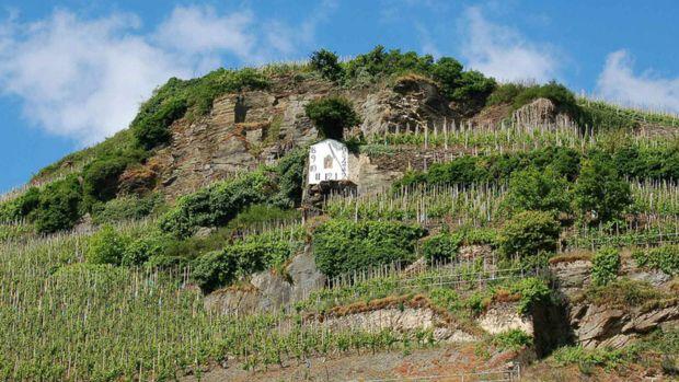 Weingut Dr. Loosen