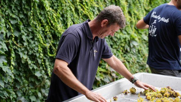 Château Smith Haut Lafitte