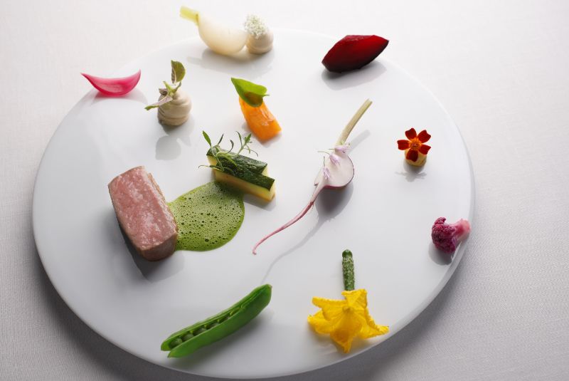 Esquisse_A50BR25-51-100