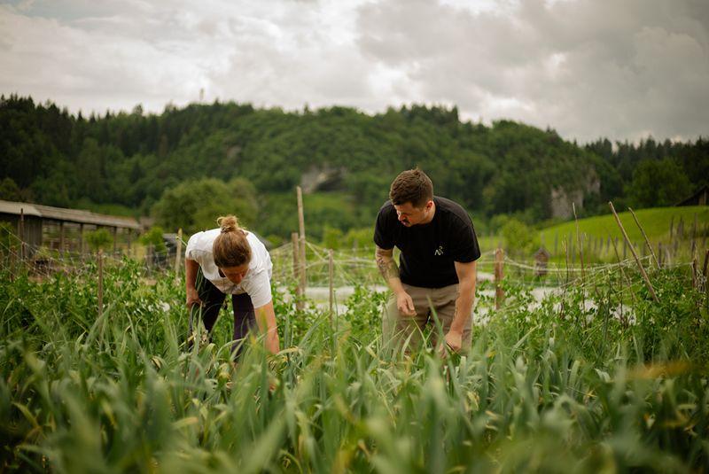 Slovenia Tourism Board