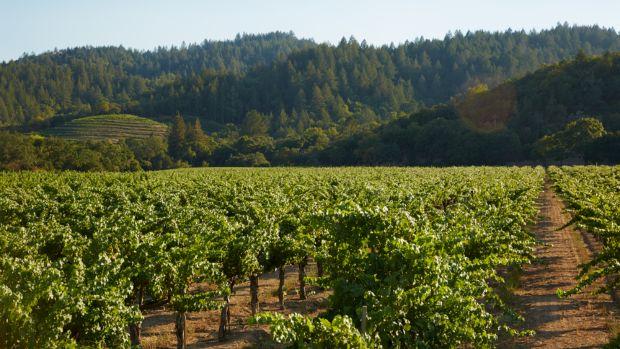 Robert Mondavi Winery