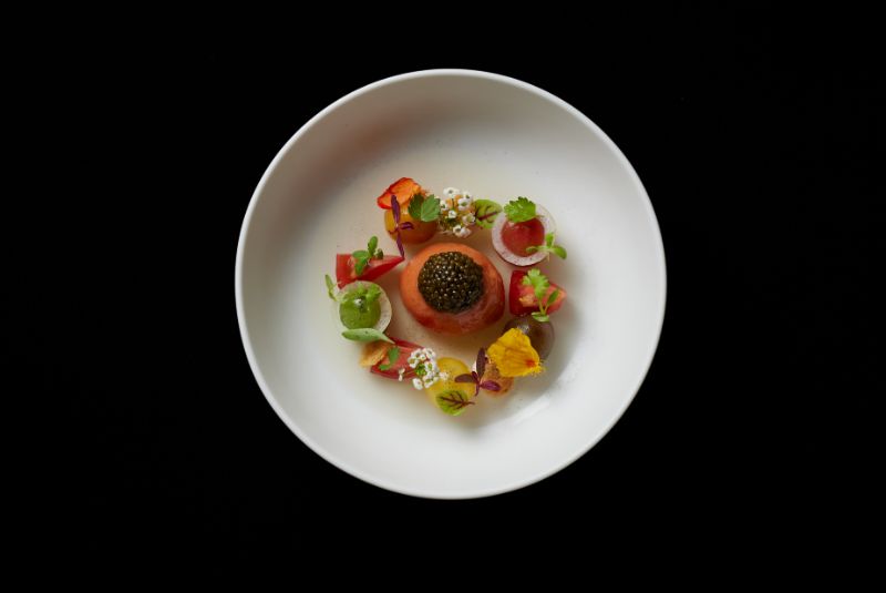 Hommage_A50BR25-51-100