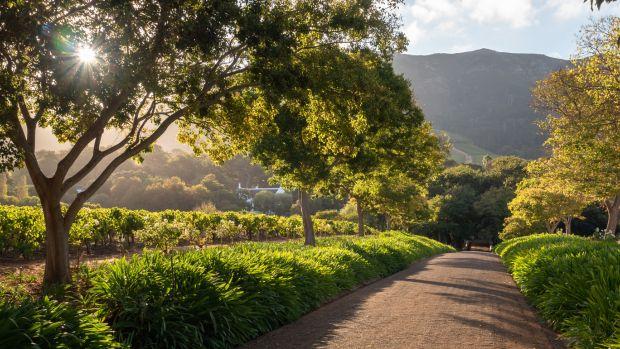 Klein Constantia Wine Estate