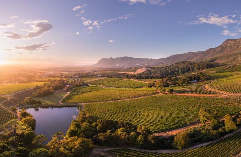 Klein Constantia Wine Estate