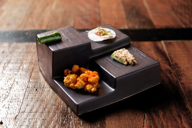 Lasai-LATAM-2016-DISH2