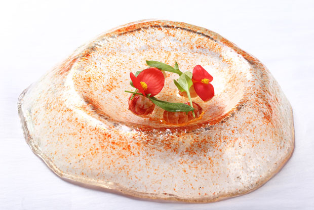 Leo-LATAM-2016-DISH1