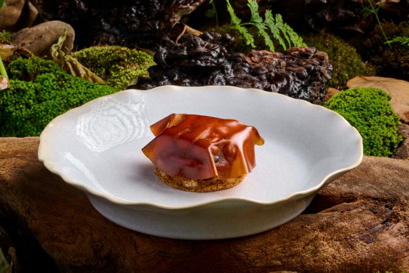 Locavore NXT_A50BR25-51-100