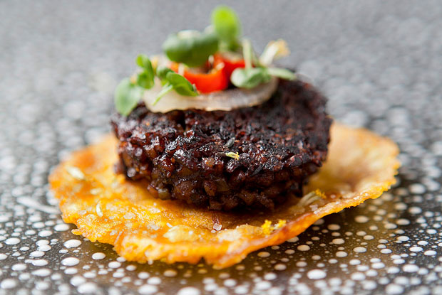 Maito-LATAM-2016-DISH2