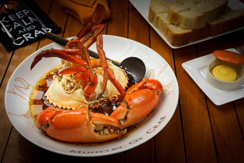 Ministry of Crab_A50BR25-51-100