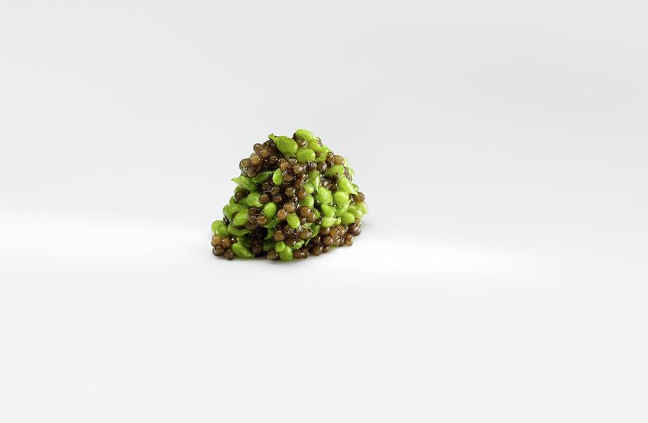 Mugaritz-SanSebastian-Spain-02 Mugaritz-SanSebastian-Spain-02