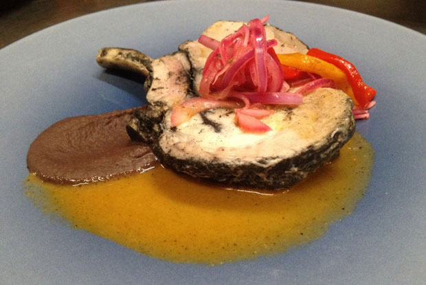 Nicos-LATAM-2016-DISH1