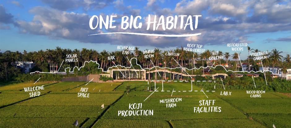 7 reasons why Locavore NXT in Bali is the most progressive restaurant in Asia