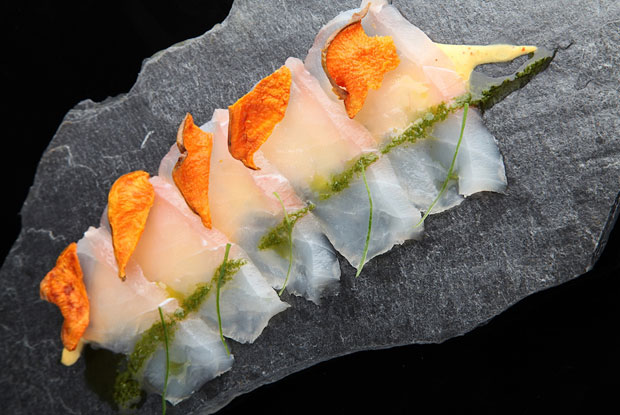 Osaka-LATAM-2016-DISH3-1