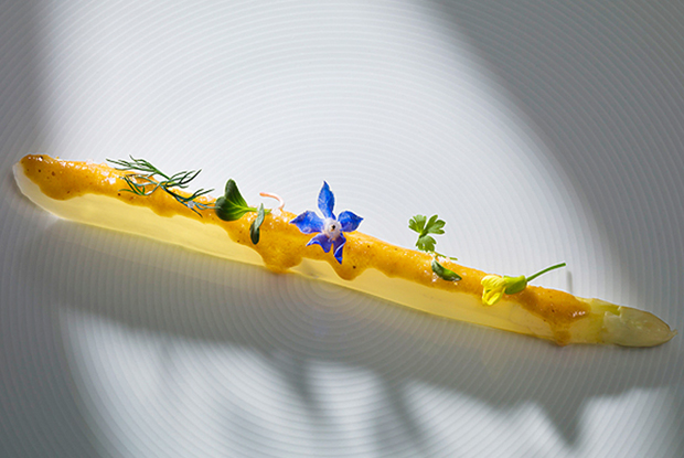 Roberta Sudbrack-LATAM-2016-DISH1