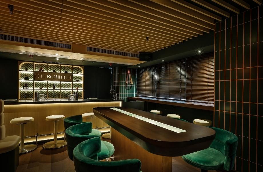 Tell_Camellia-Hong_Kong-China-2