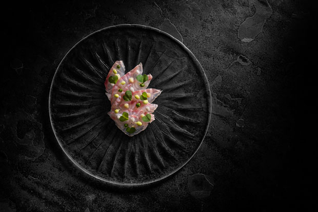 Tuju_LATAM-2016-DISH1-1