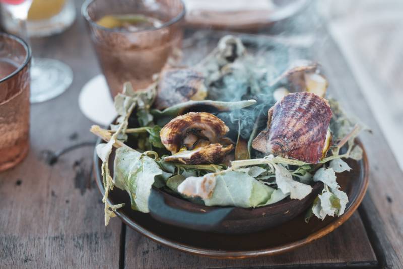 W50BR25-CoC-MindyWoods-2