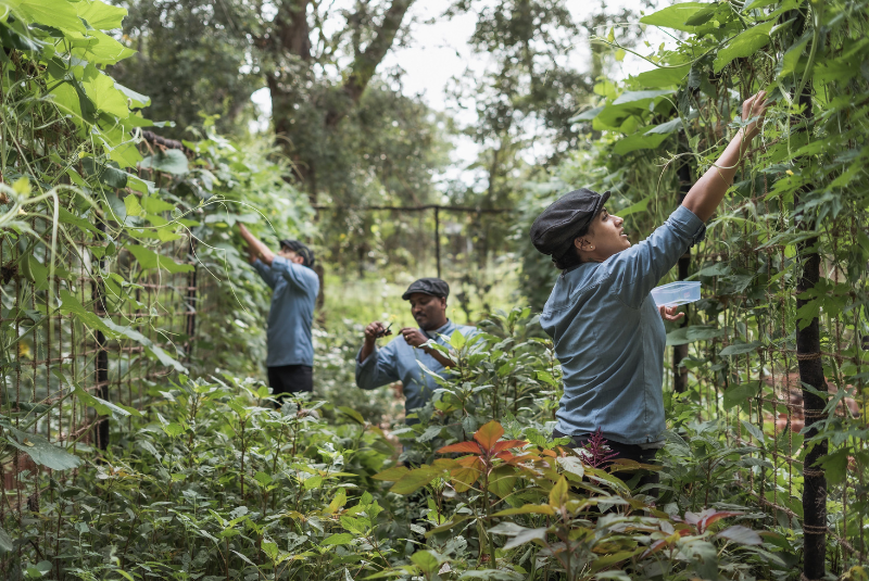 A50BR25-OTW-Farmlore-3